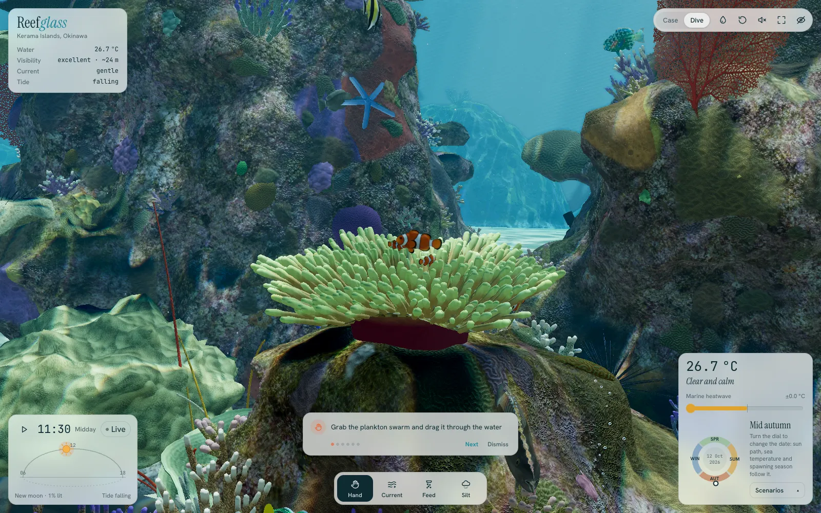 Dive view: a pair of ocellaris clownfish in a magnificent sea anemone, with a blue sea star and coral on the rock behind.